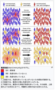 集団免疫.jpg